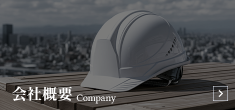 bnrhalf_company_off